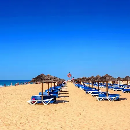 Jacaranda-pool, Sea View & Mature Garden